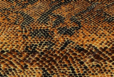 Yellow snake skin background — Stock Photo © egluteskarota #19545451