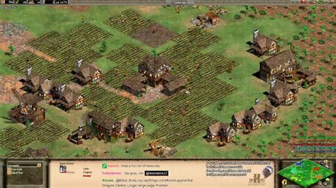 Aoe2 HD: Economy Tips & Black Forest Strategy (Part 1/2) - YouTube