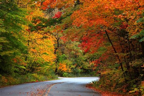 Take a ride to Michigan upper Peninsula and enjoy the fall colors ...