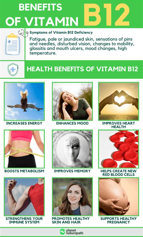 Vitamin B12 Guide: How To Treat Vitamin B12 Deficiency - Planet Naturopath