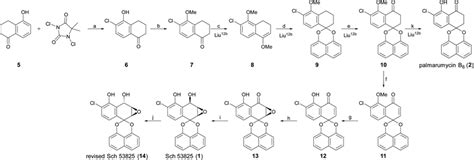 Total synthesis of Sch 53825 and palmarumycin B6 (2). Reagents and... | Download Scientific Diagram