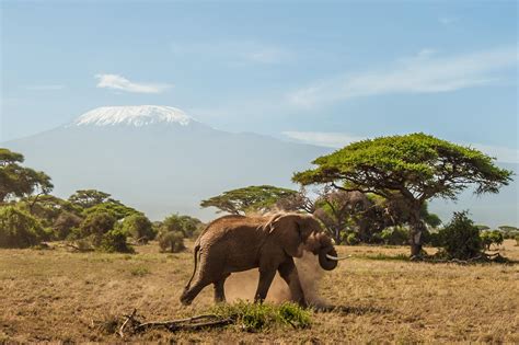 Amboseli National Park - Best Photo Spots