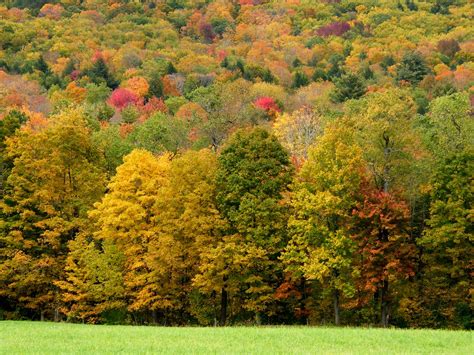 Vermont Fall Landscape | Stanley Zimny (Thank You for 66 Million views) | Flickr