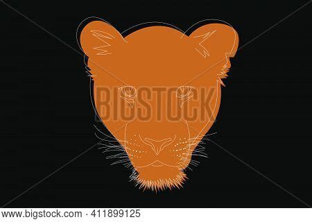 Drawing Lioness. Head Vector & Photo (Free Trial) | Bigstock