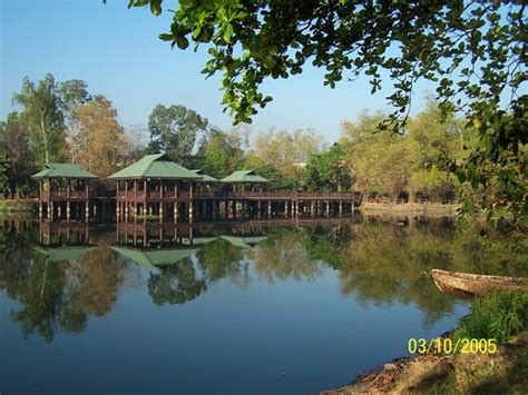 Ninoy Aquino Parks and Wildlife Center (Quezon City) - 2021 All You ...