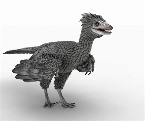 ArtStation - Archaeopteryx | Game Assets