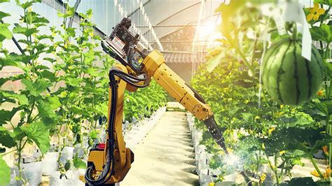 Technology will Change Farming in 2019 and Beyond | Fastcomm