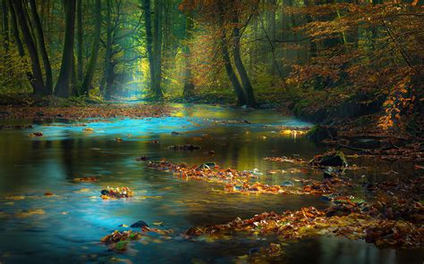 1440x900 River Sunbeam Autumn 4k 1440x900 Resolution HD 4k Wallpapers, Images, Backgrounds ...