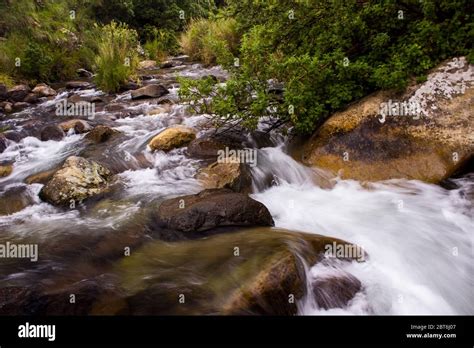 An exceptionally full Sterkspruit stream in the Monks Cowl Nature ...