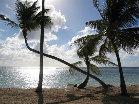 DOMINICA Nature Island of the Caribbean - Hansib Publications