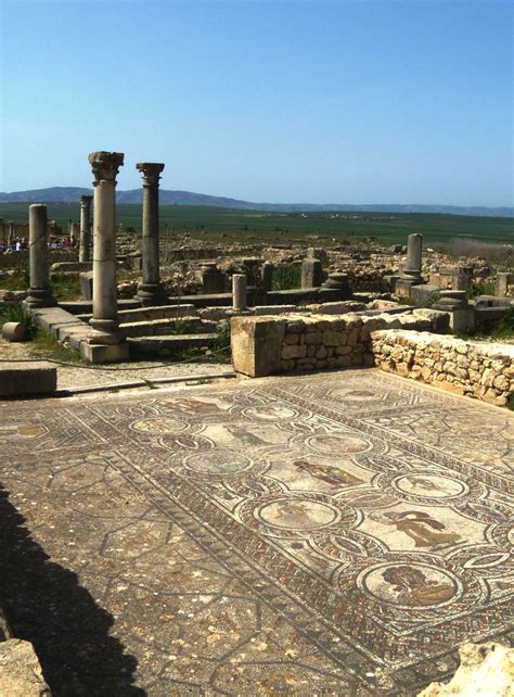 Floor Mosaic in Volubilis, Morocco