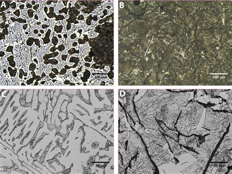 Optical micrographs of 'chilled' cast iron: hypo-eutectic white cast... | Download Scientific ...