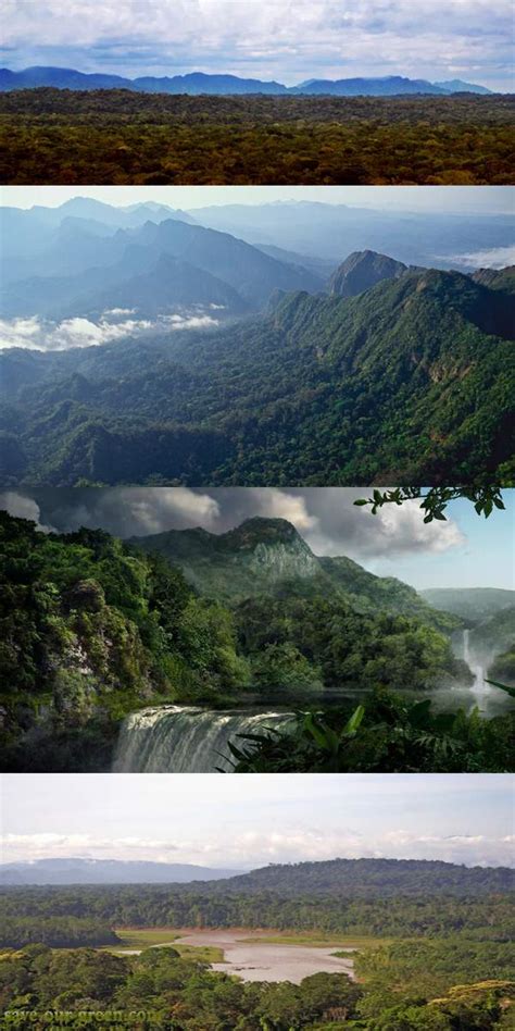 Madidi national park, Bolivia - Save Our Green