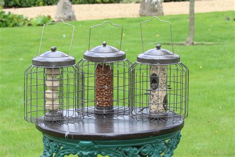 Heavy Duty, Squirrel-Proof Bird Feeder | Buy Online at Vine House Farm