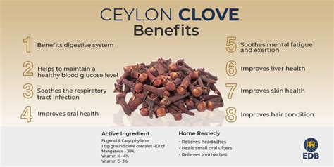 Benefits of Clove - FAQs - Ceylon Spices - EDB Sri Lanka