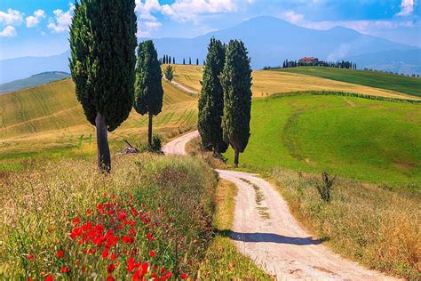 Tuscany: Hilltop Towns, tuscan vineyard village HD wallpaper | Pxfuel