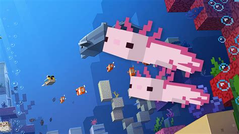 73 Wallpaper Minecraft Axolotl Pics - MyWeb