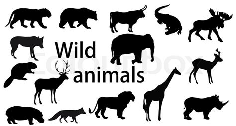 Vector set: wild animals | Stock vector | Colourbox