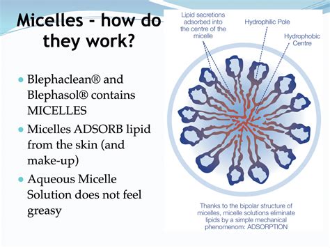 Eyelid Cleansing » OpticalRooms