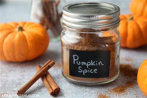 Easy Pumpkin Pie Spice Recipe + 10 Ways To Use It