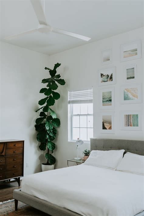 Plant Filled Minimal Boho Nashville House Photos | Apartment Therapy