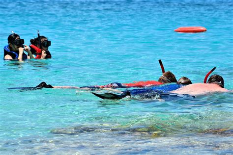 People Snorkeling at Coki Bay on the Northside, Saint Thomas - Encircle Photos