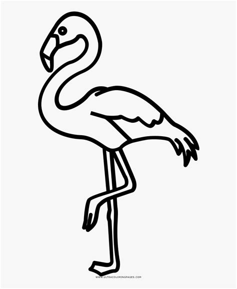 Flamingo Drawing Outline - Flamingo Clipart Silhouette, HD Png Download ...