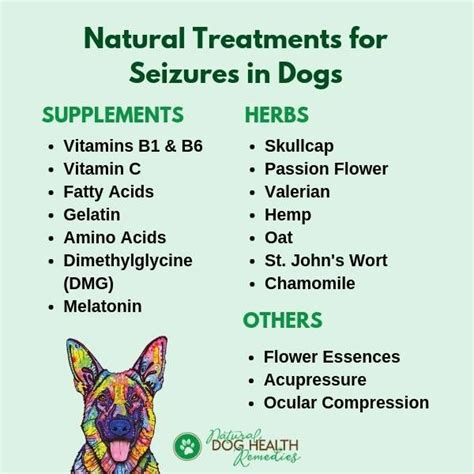 Home Treatments for Canine Seizures | Natural dog remedies, Epilepsy in dogs, Dog remedies