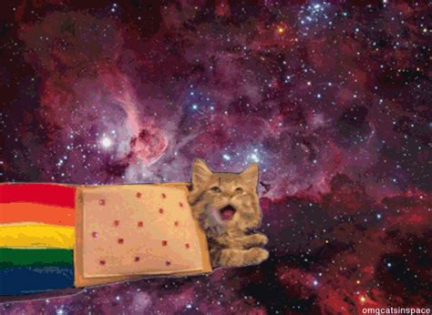 Space Cat GIFs - Find & Share on GIPHY