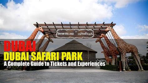 Dubai Safari Park: A Complete Guide to Tickets and Experiences