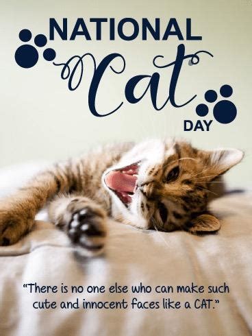 National Cat Day! - Satchels Last Resort