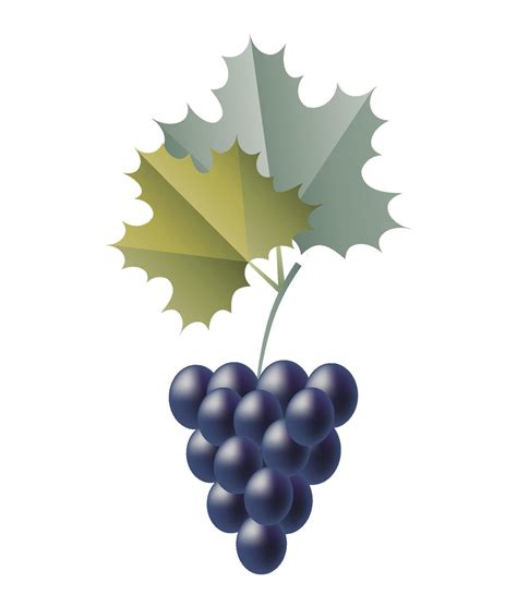 Grapes on a white background. Isolated. 8634459 Vector Art at Vecteezy