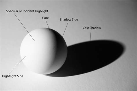 core cast form shading exercise - Google Search | Shadow drawing ...
