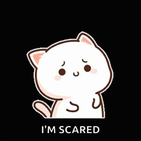 Scared Cat Little Face Reaction GIF | GIFDB.com