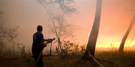 More than 6,000 forest fires burning in Russia, say officials | Daily Sabah