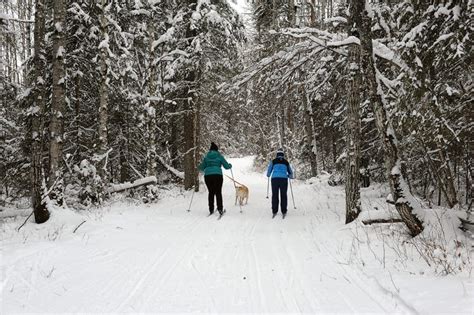 Lac La Biche Winter Adventures | Go East of Edmonton