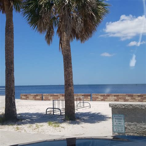 Look out at Hudson Beach, Florida | Beach, Outdoor, Tampa bay