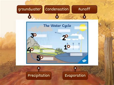 The water cycle diagram - Labelled diagram