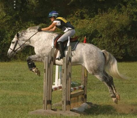 December 2018 | Nokota Horse Breed Loses Its Champion But Will Live On