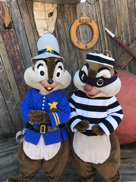 Chip & Dale - Copy and robber Halloween costumes | Disney world characters, Classic disney ...