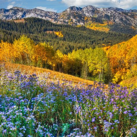 Autumn in the Wasatch Mountains Photograph by Douglas Pulsipher - Fine Art America