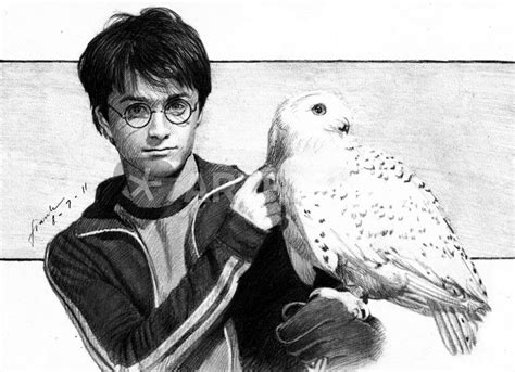 "Harry Potter and Hedwig" Zeichnung als Poster und Kunstdruck von frank-gotama bestellen ...