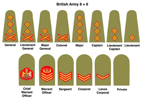 Do we need to simplify the rank structures of UK Armed Forces? – UK Land Power