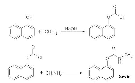 Synthesis of insecticide Sevin (Carbaryl)