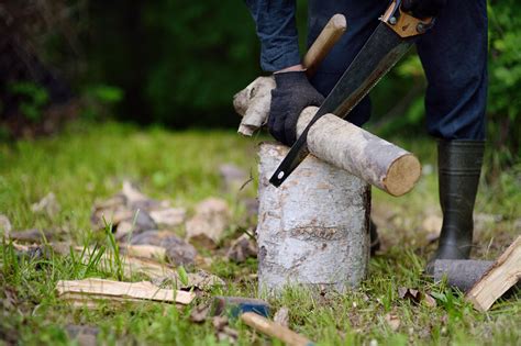 Best Hand Saw for Cutting Logs | Best Electric Knife