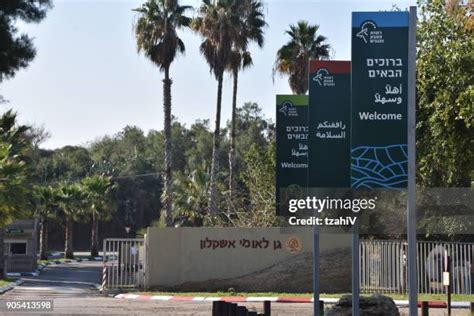 Ashkelon National Park Photos and Premium High Res Pictures - Getty Images