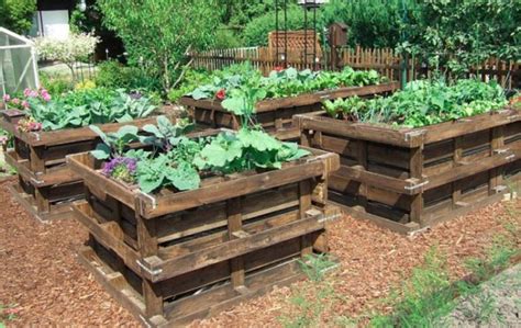 Are Wooden Pallets Safe To Use In The Garden? - Gardeninguru