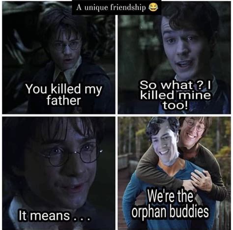 Orphan Buddies Yay | Buddy, Harry potter, Harry potter funny