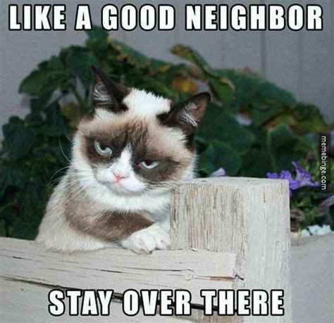 Grumpy Cat's twist on the State Farm motto | Flickr - Photo Sharing!