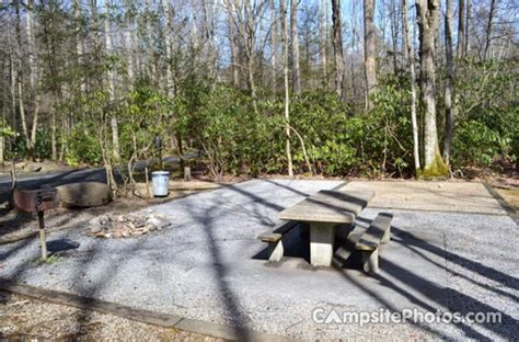 Roan Mountain State Park - Campsite Photos & Reservations